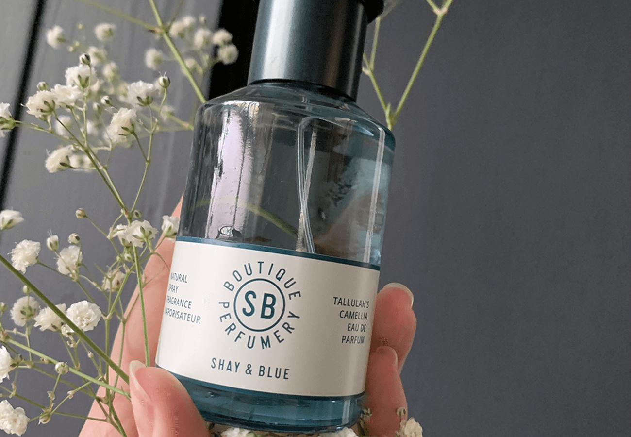 Introducing Tallulah's Camellia