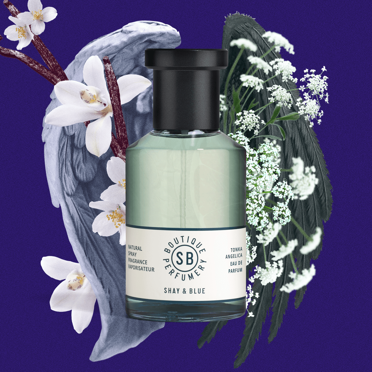 The Allure of Vanilla and Gourmand Perfumes