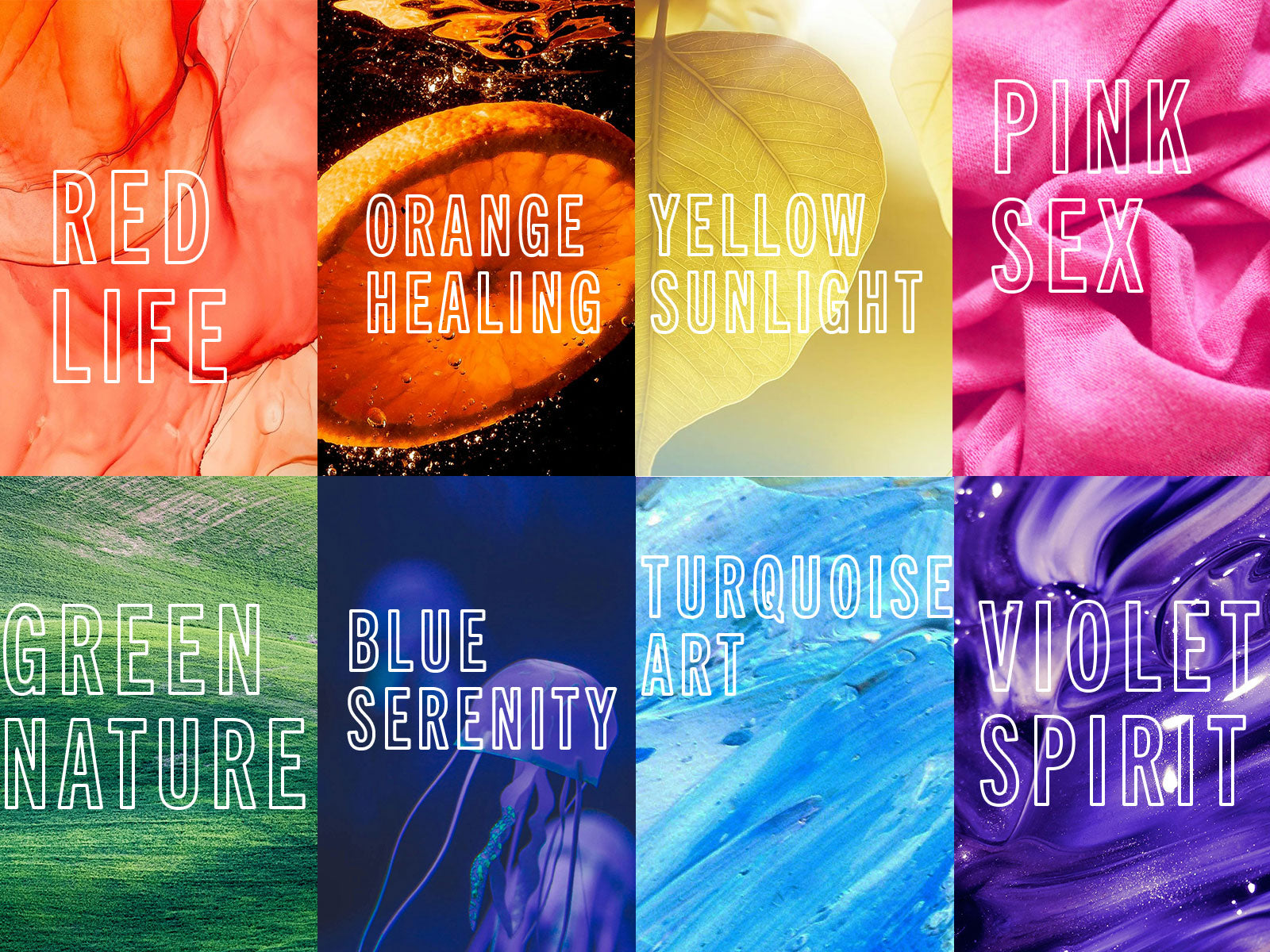 A Symphony of Colors, Scents, and Personalities