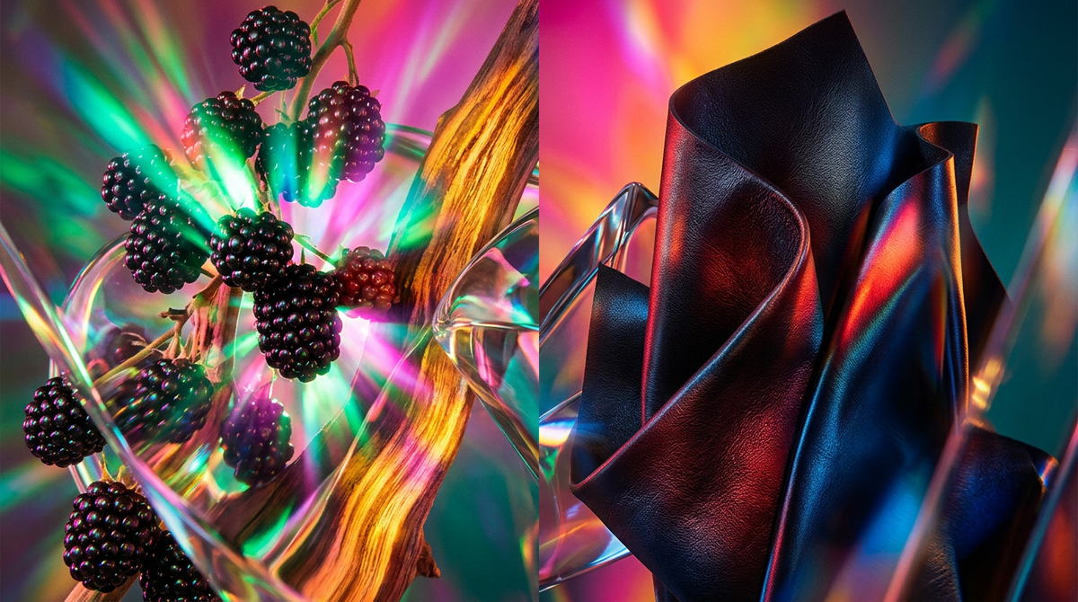 Blackberry Woods Fragrance 3.4oz vs. Blacks Club Leather Fragrance Noir 3.4oz: Which Scent is Right for You?