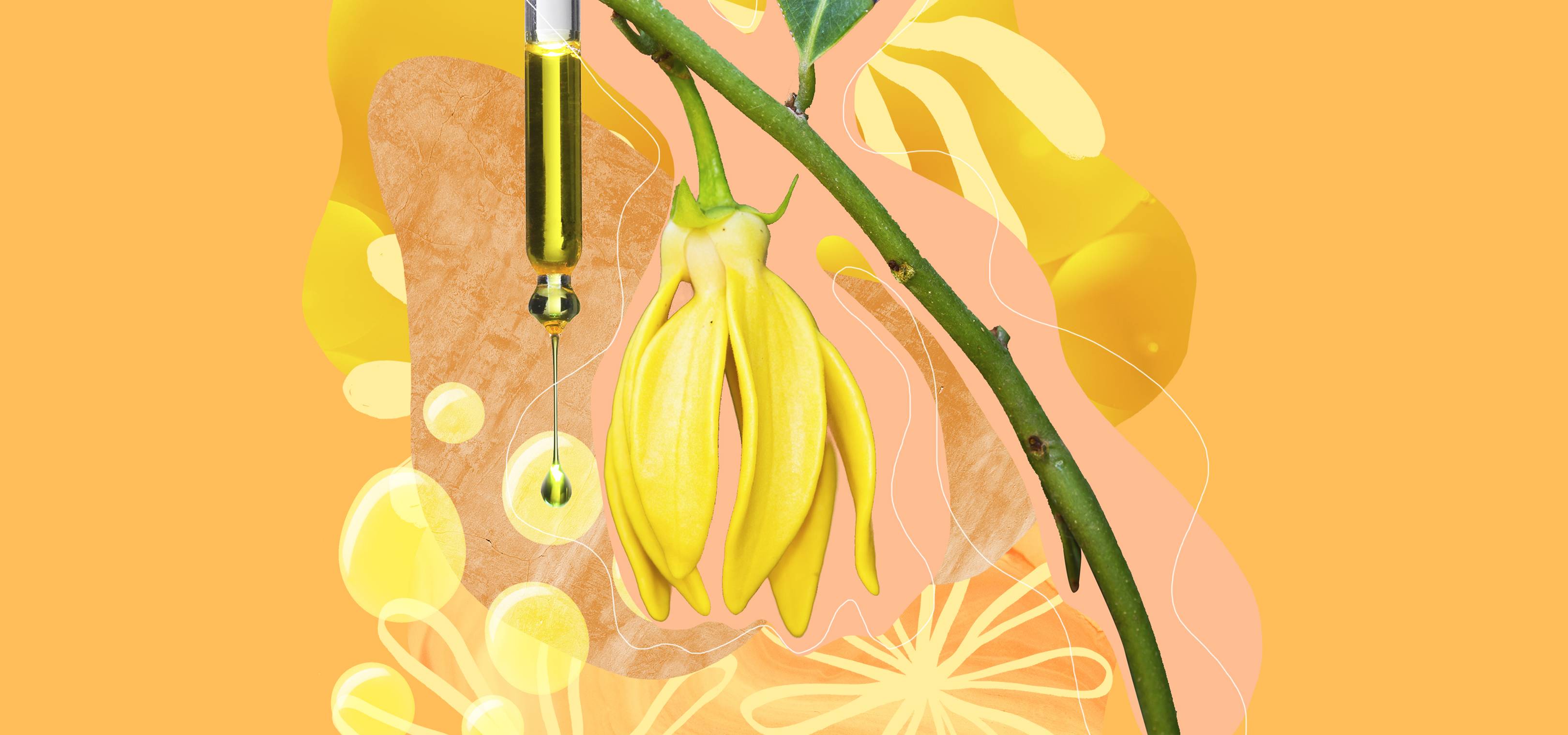 What Does Ylang-Ylang Smell Like?