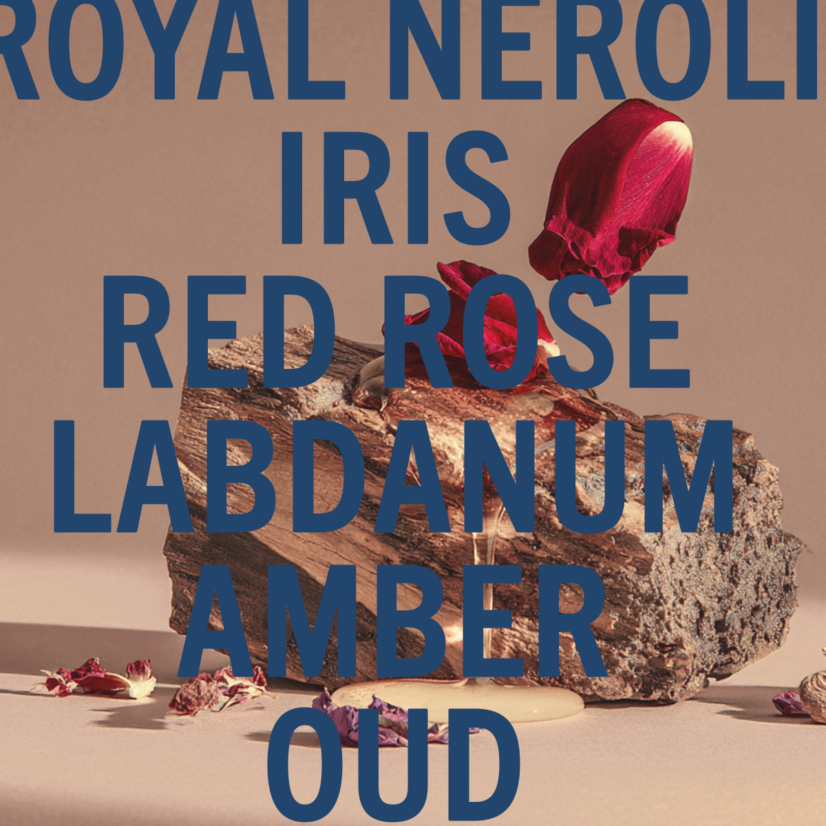 Amber Oud Ahad Fragrance Noir 0.3oz