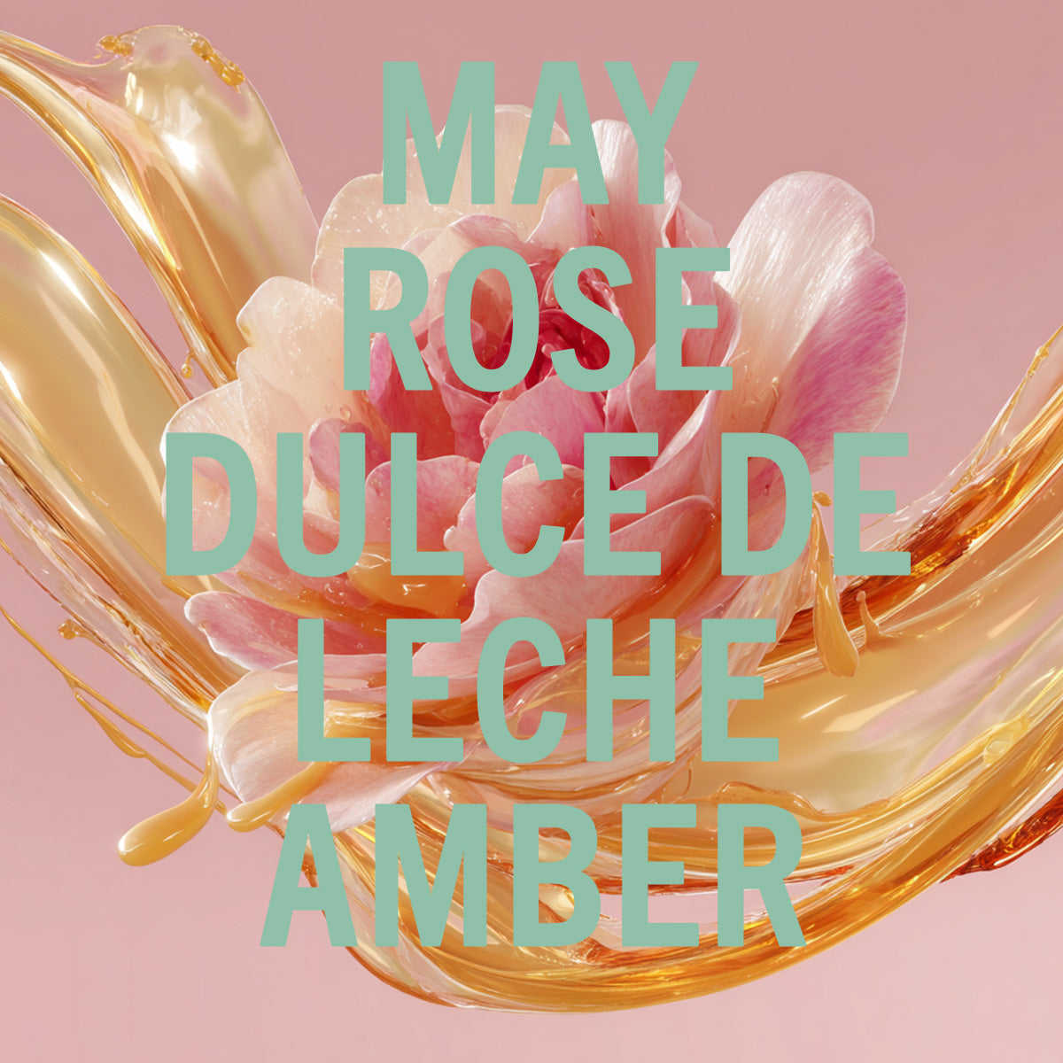 Amber Rose Fragrance 3.4oz