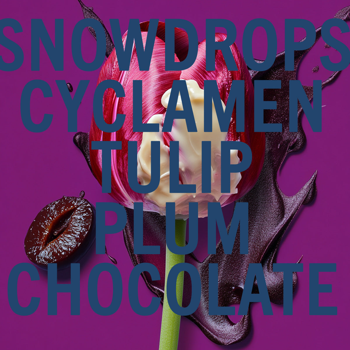 Tulip & Plum Fragrance 3.4oz