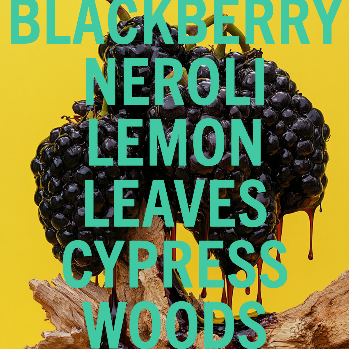 Blackberry Woods Body Butter 6.8oz