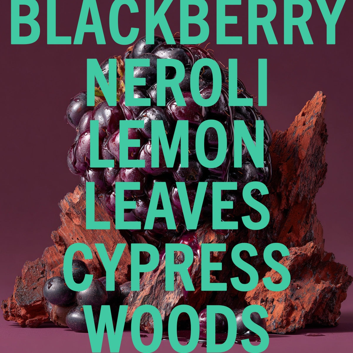 Blackberry Woods Fragrance 3.4oz