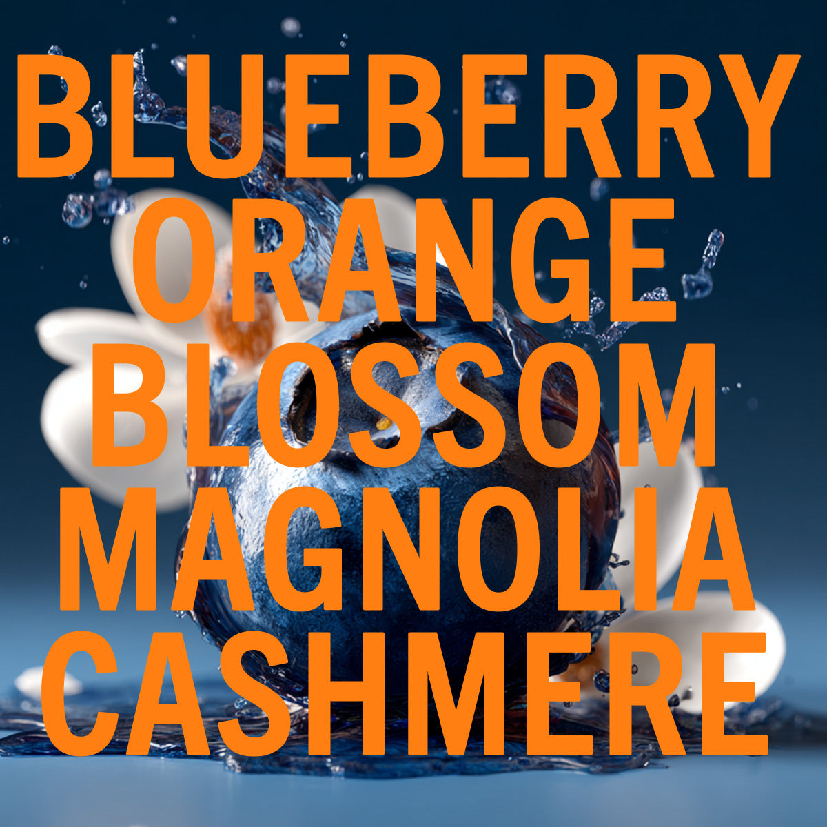 Blueberry Musk Fragrance 0.3oz