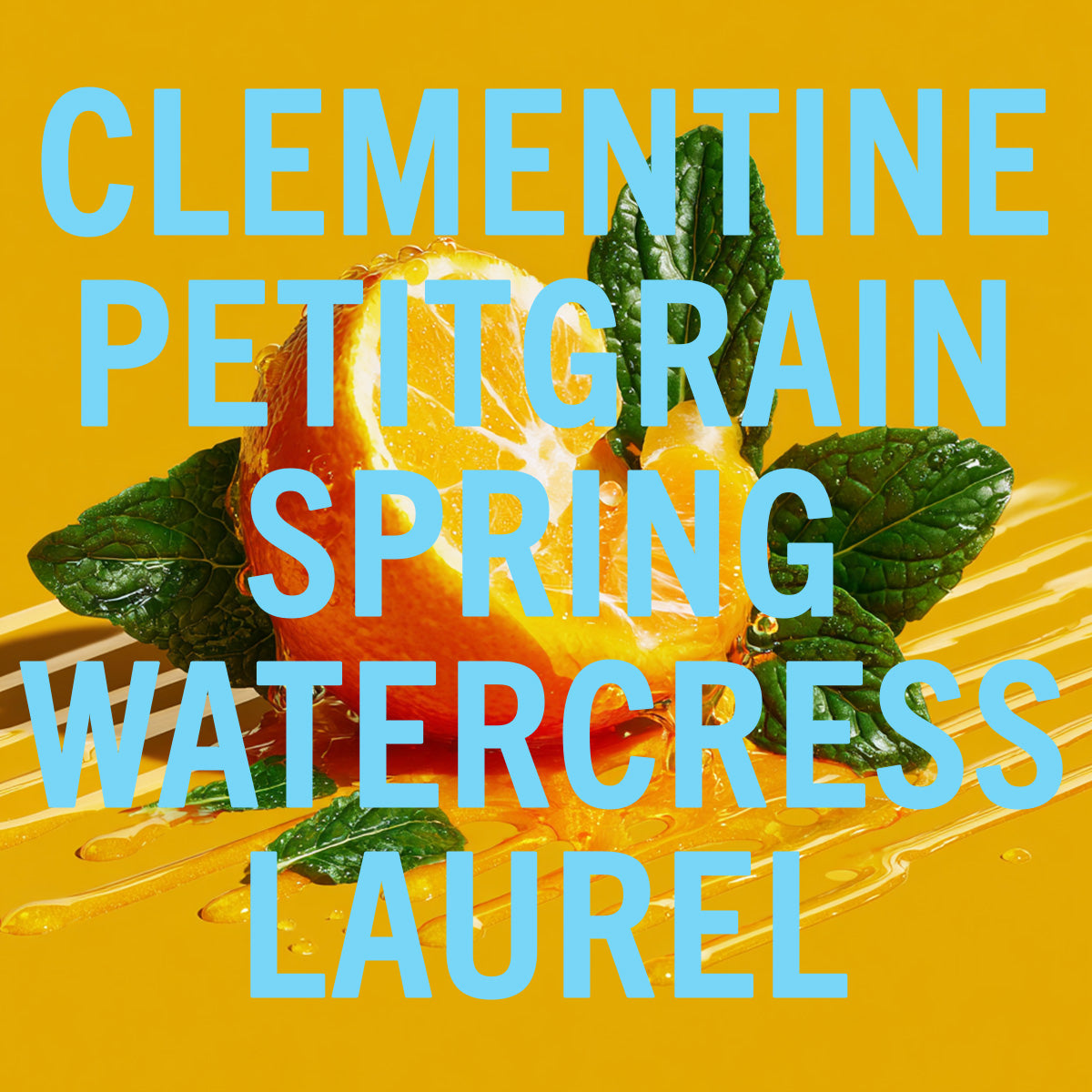 Clementine Fragrance 0.3oz