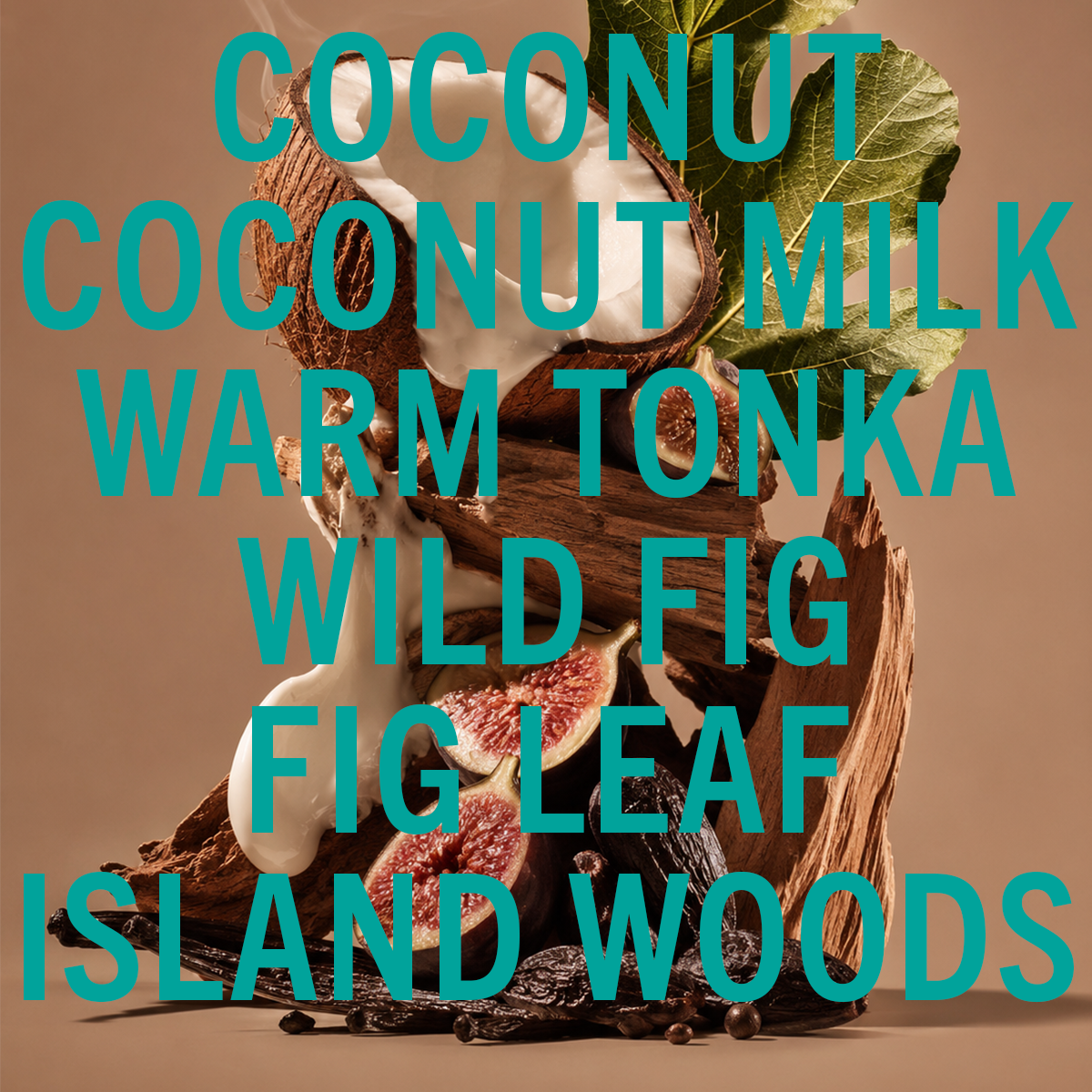 Coconut Fig Leaf Fragrance 0.3oz