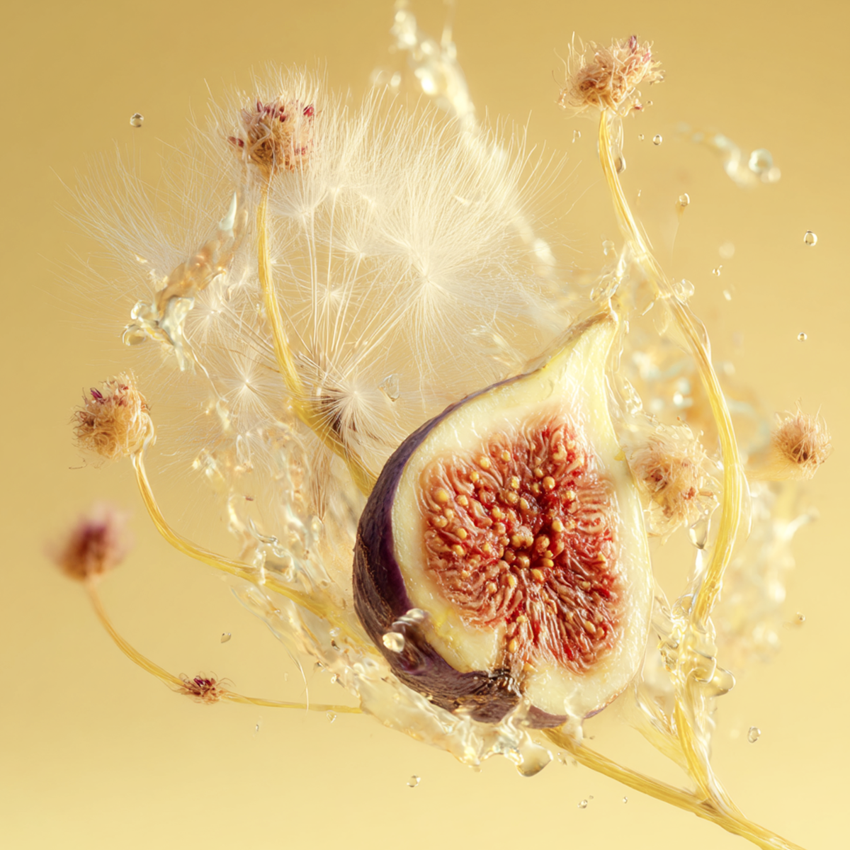 Dandelion Fig Fragrance 0.3oz