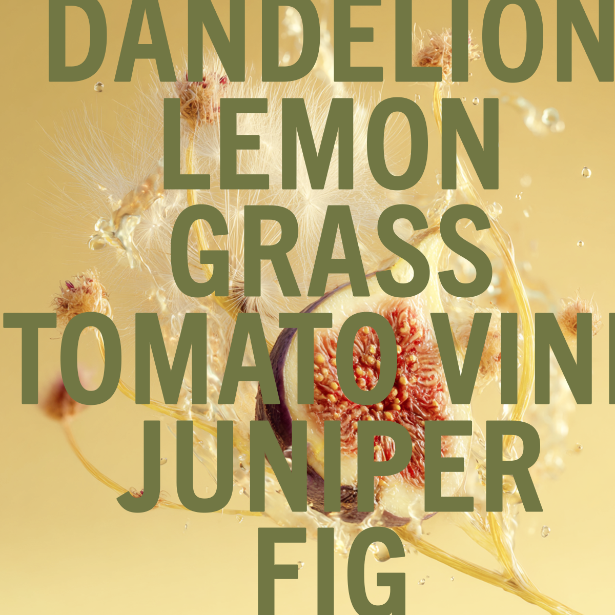 Dandelion Fig Fragrance 0.3oz