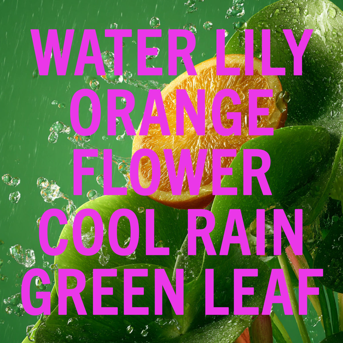 Rain Shower Leaf Fragrance 3.4oz