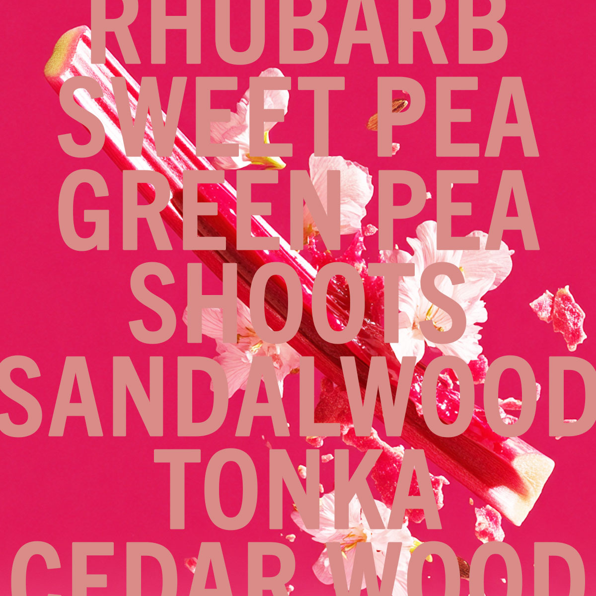 Rhubarb Sandalwood Fragrance 3.4oz