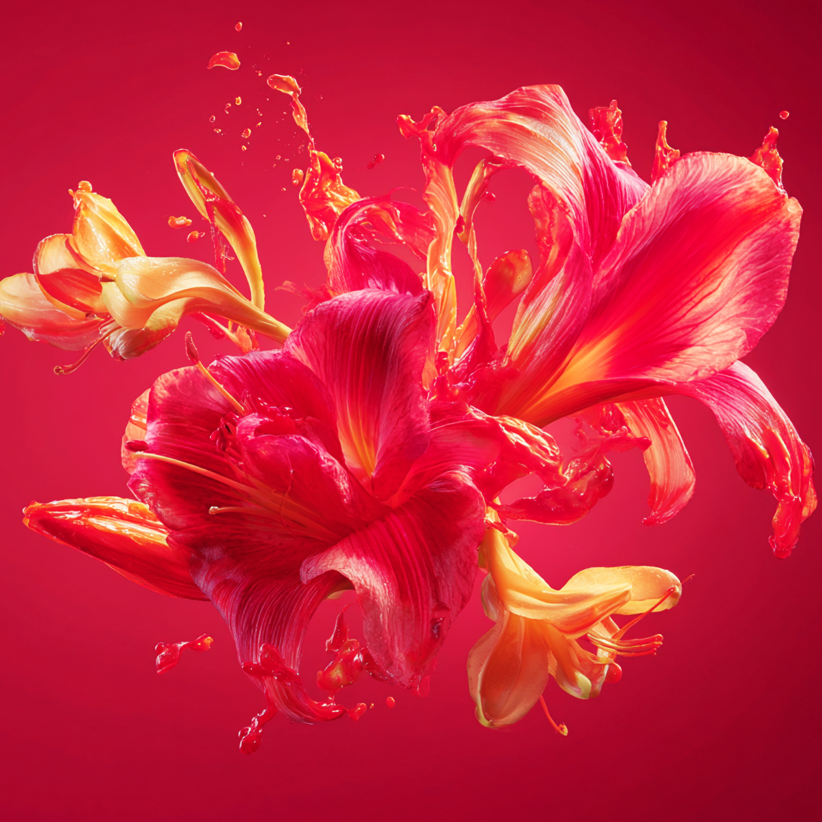 Scarlet Lily Fragrance 3.4oz