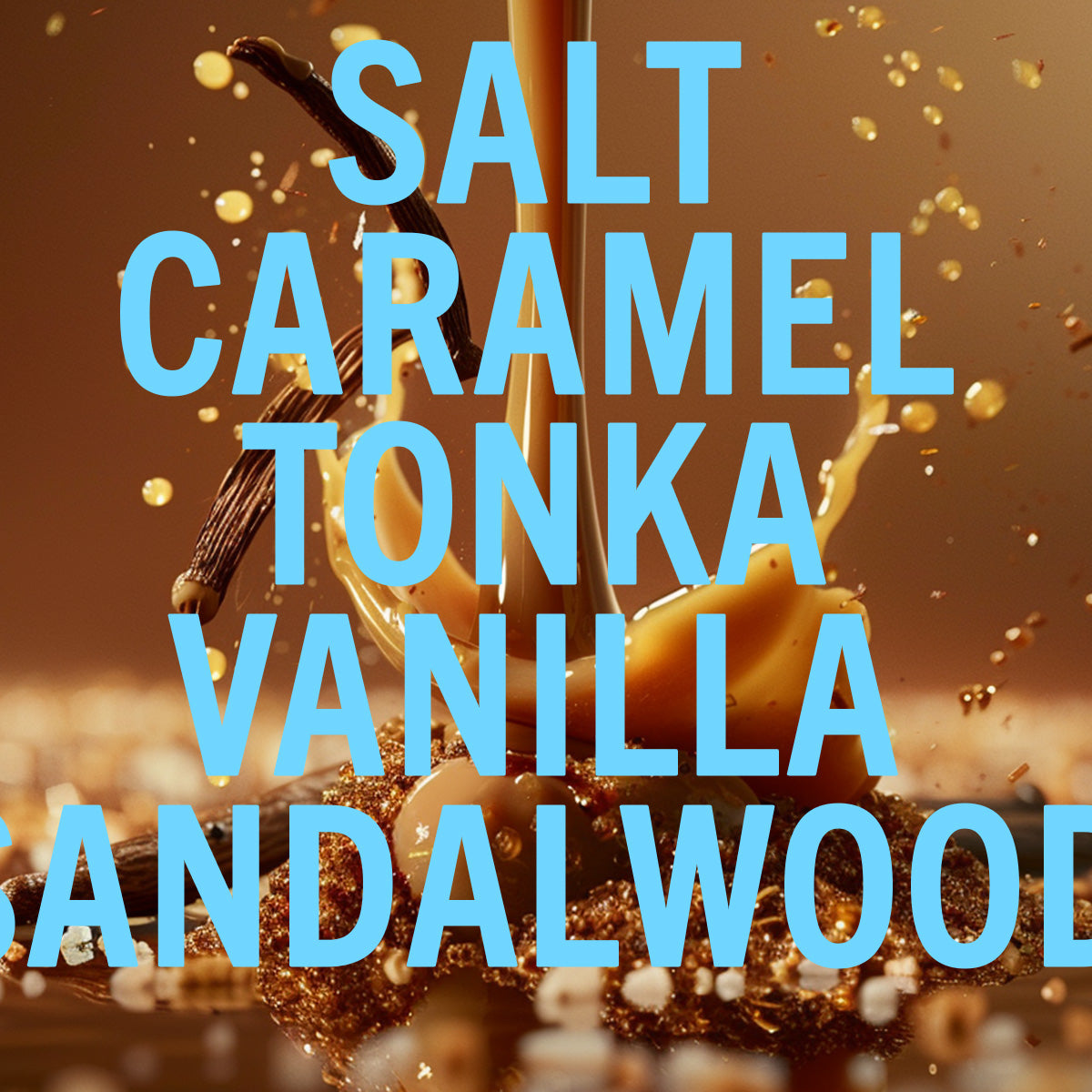 Salt Caramel Fragrance 1.0oz