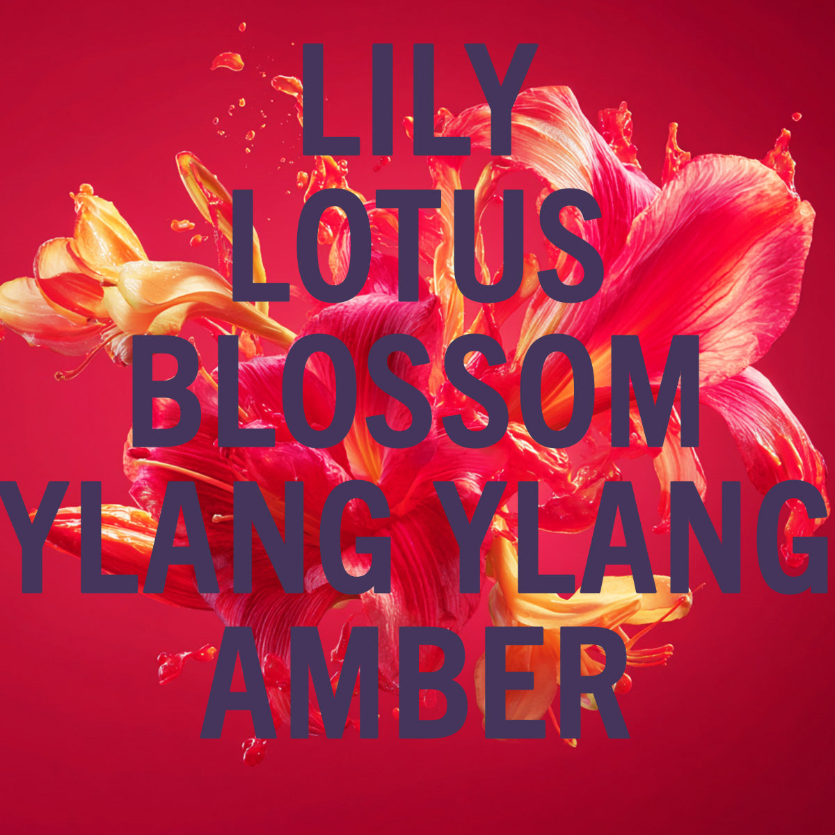 Scarlet Lily Fragrance 3.4oz