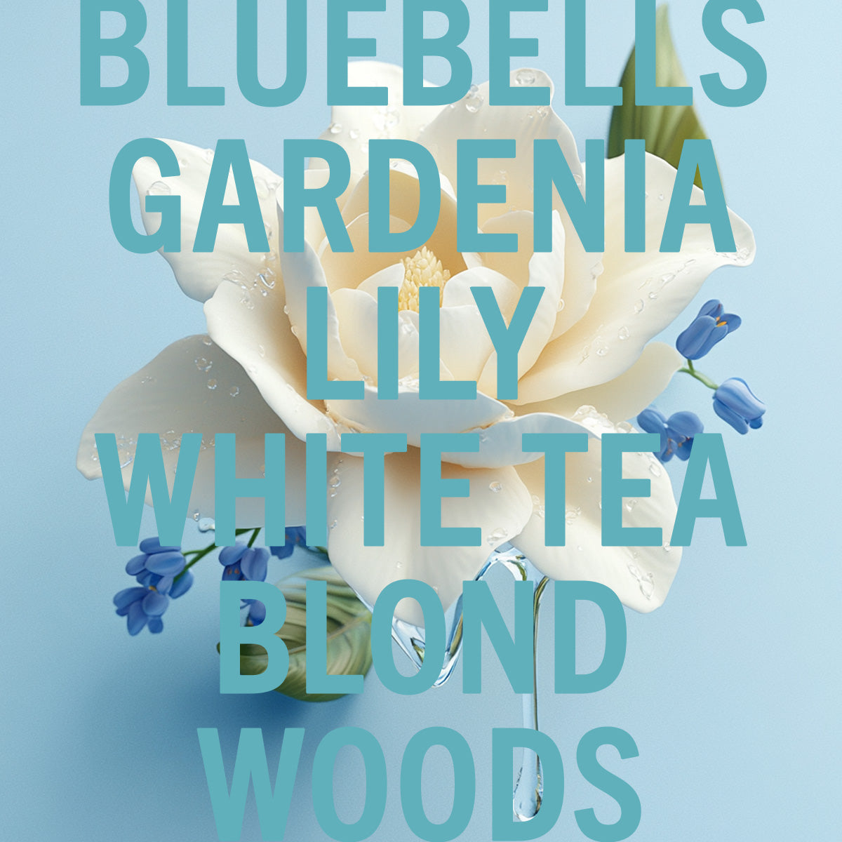 Tallulahs Camellia Body Butter 6.8oz Body Butter