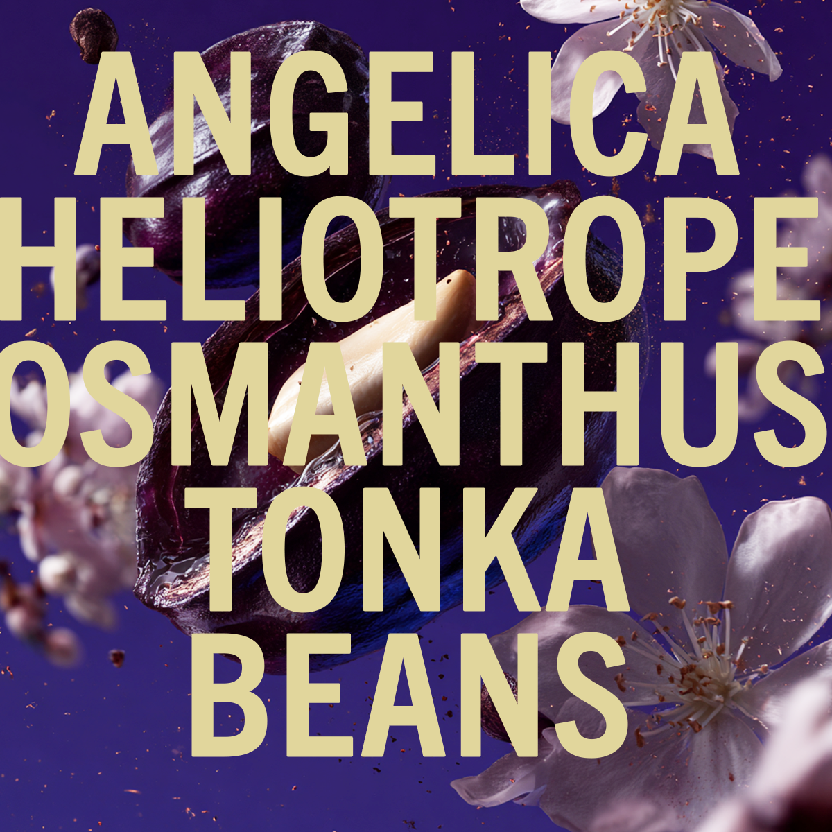 Tonka Angelica fragrance 3.4oz