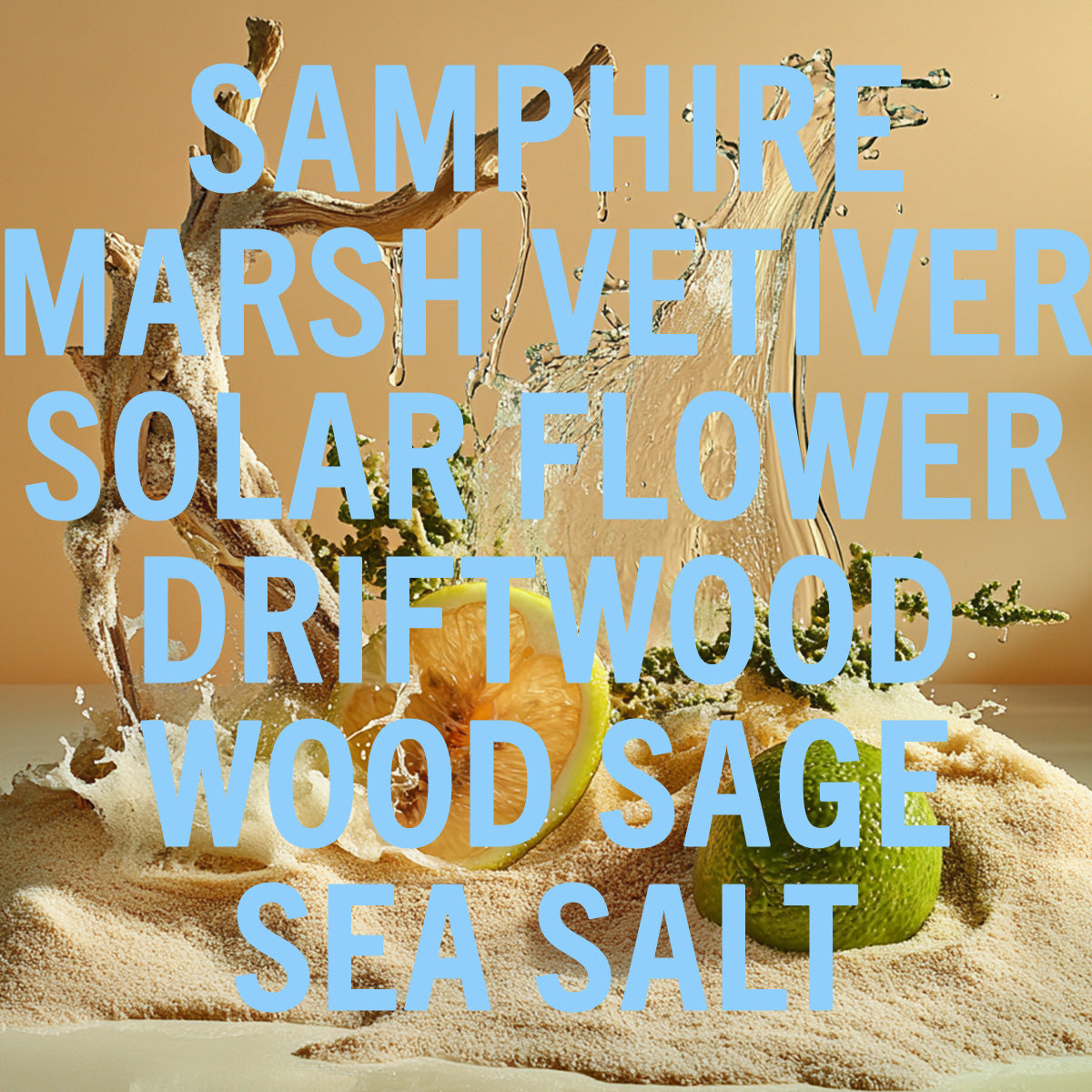 Driftwood Sea Salt Fragrance 0.3oz