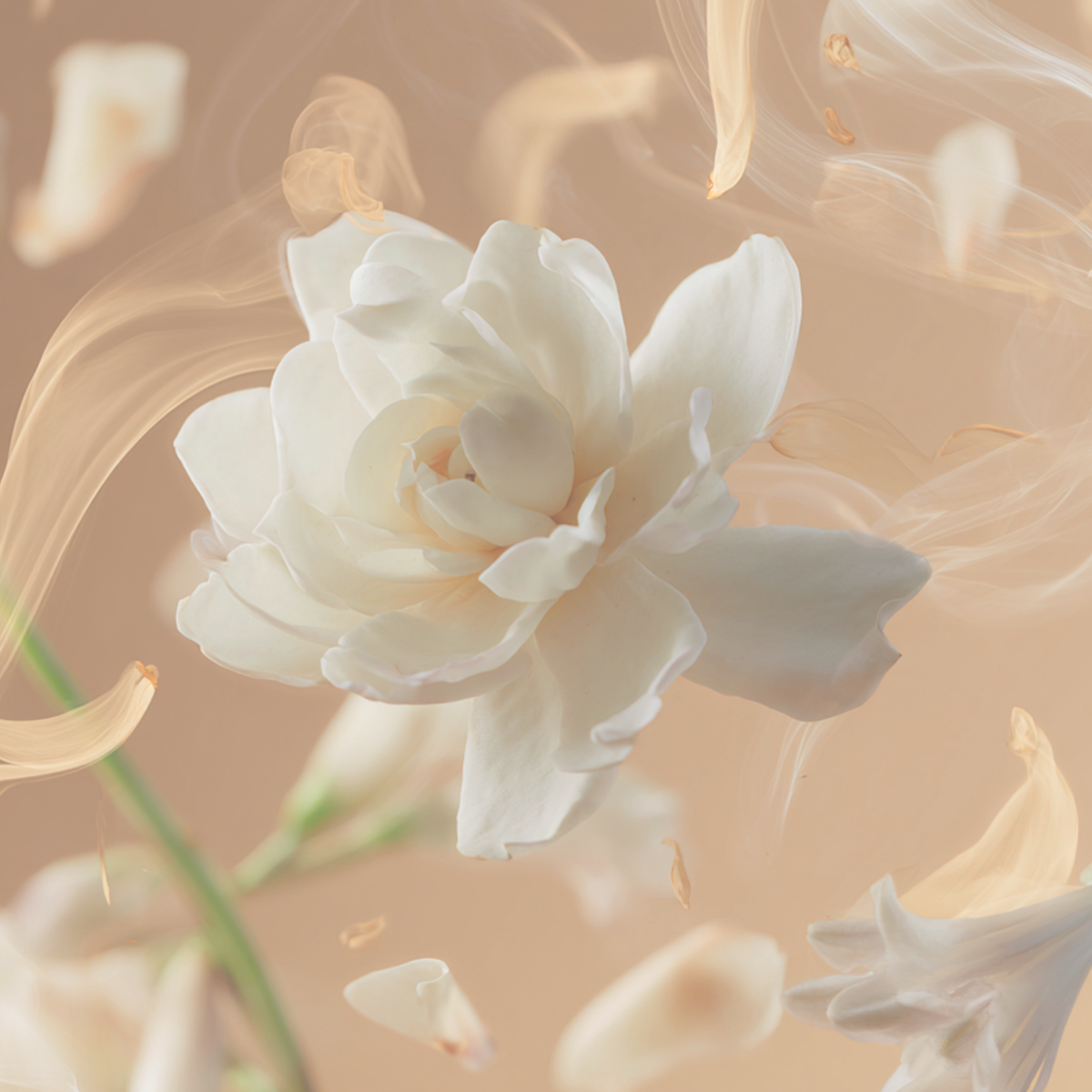 Tallulahs Camellia Fragrance 3.4oz