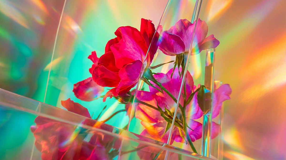 When to Wear 'Wild Roses Fragrance 0.3oz' for Maximum Impact