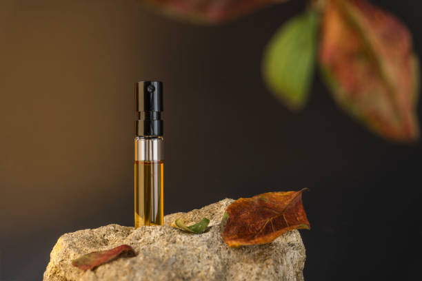 Autumn Perfumes: Warm, Spicy and Comforting