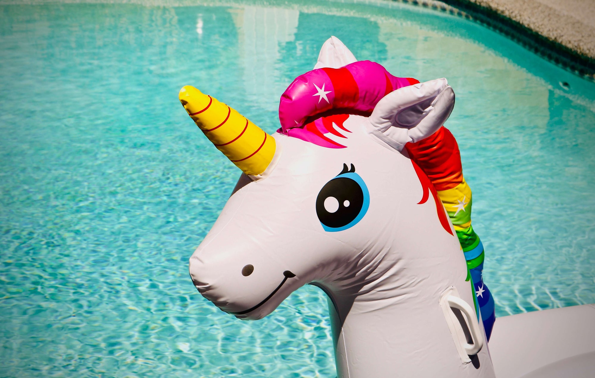 15 Things You Didn't Know About Unicorns