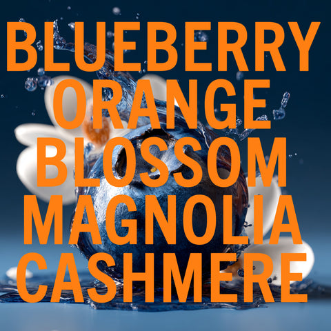 Blueberry Musk Fragrance 3.4oz