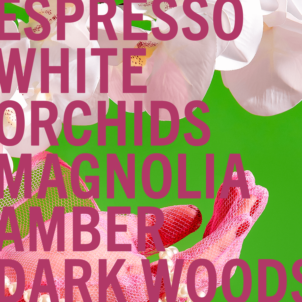 White Orchid Espresso Perfume 3.4oz