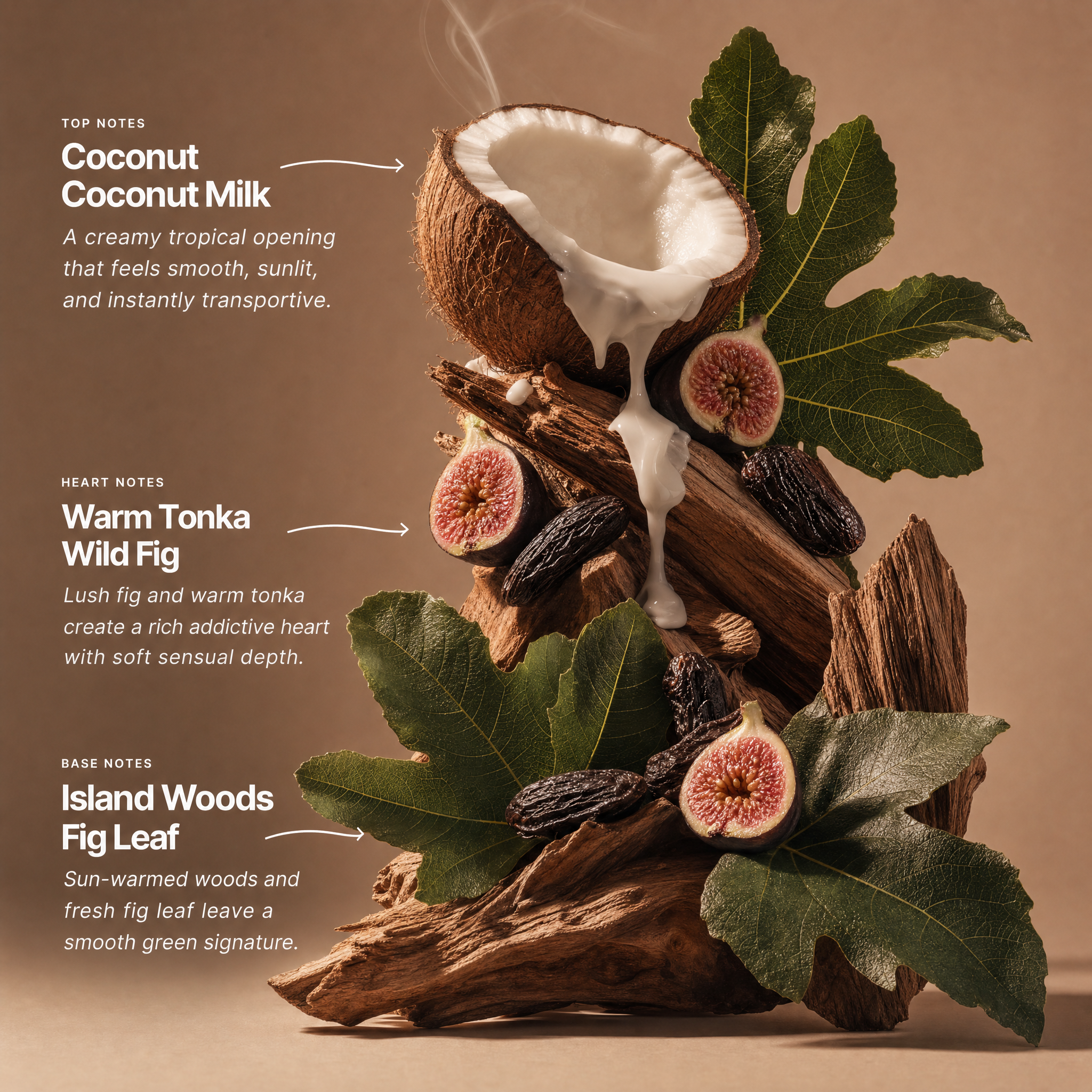 Coconut Fig Leaf Fragrance 0.3oz