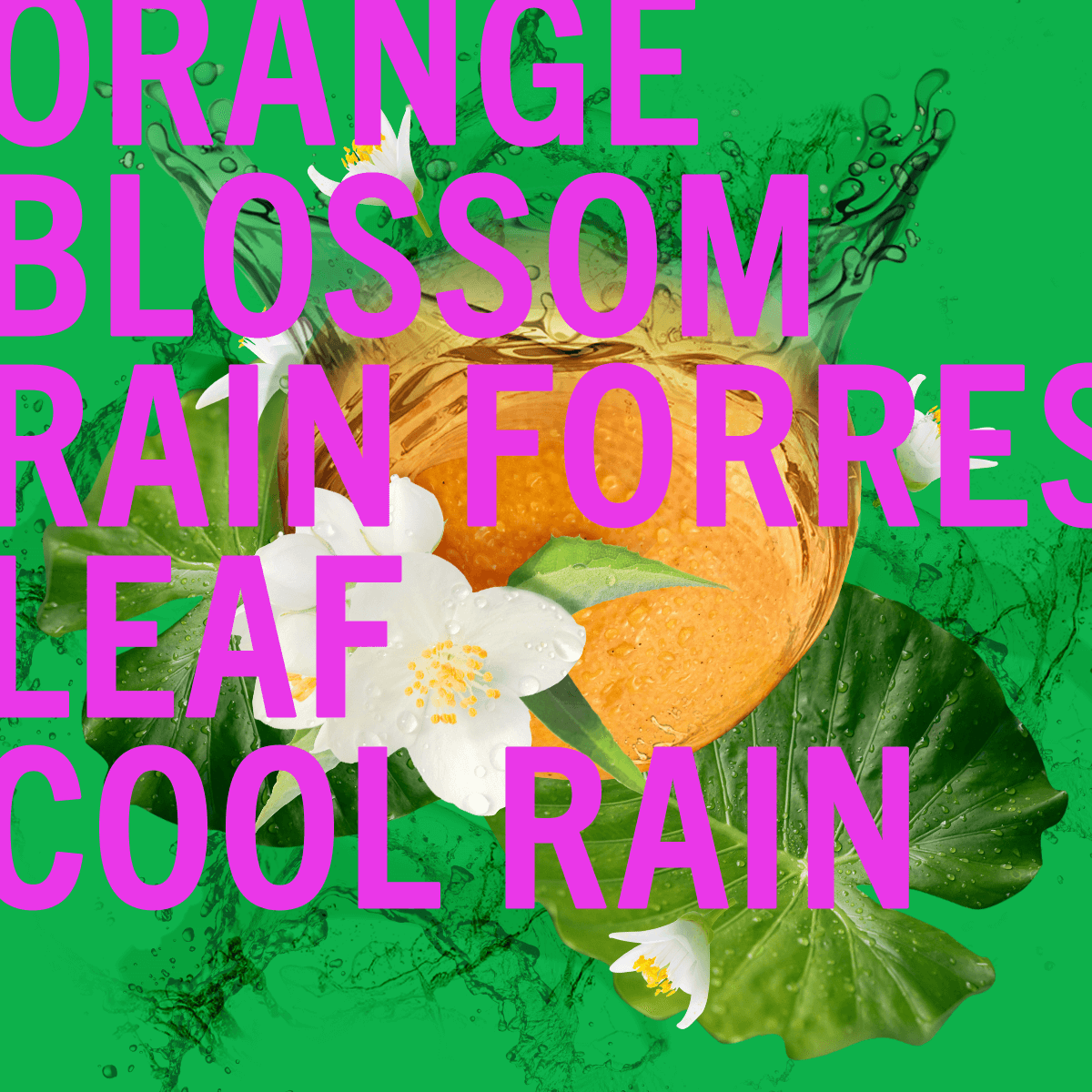 Limited Edition Rain Shower Leaf Fragrance 3.4oz