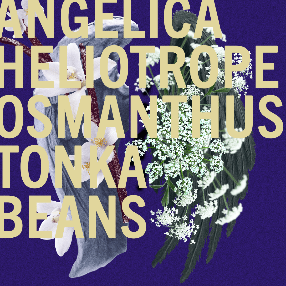 Limited Edition Tonka Angelica fragrance 3.4oz