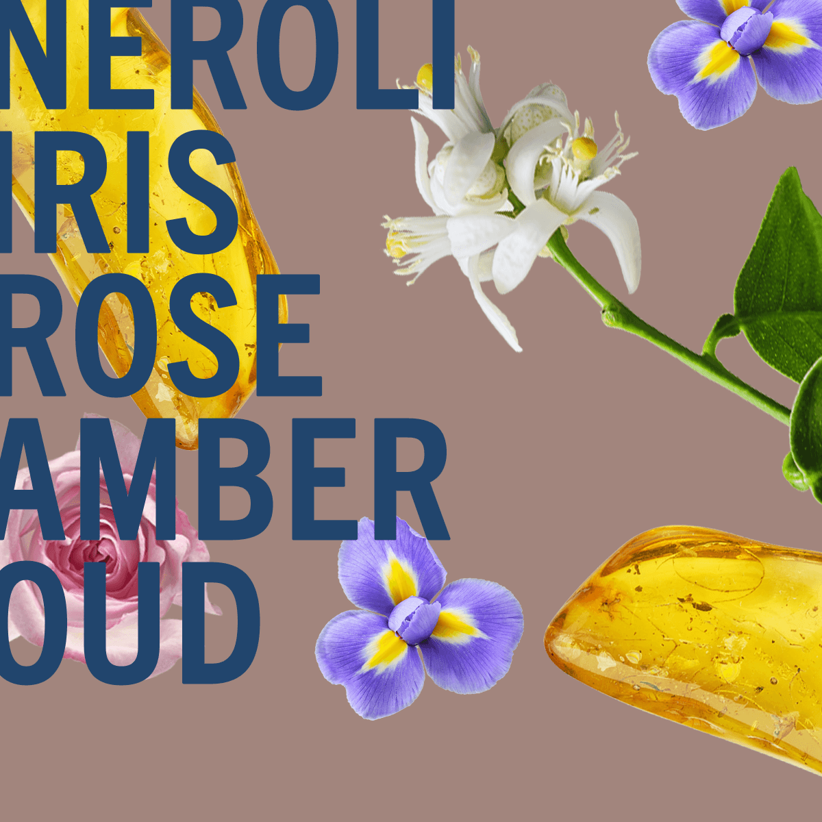 Ambre Oud Ahad Parfum Noir 100ml