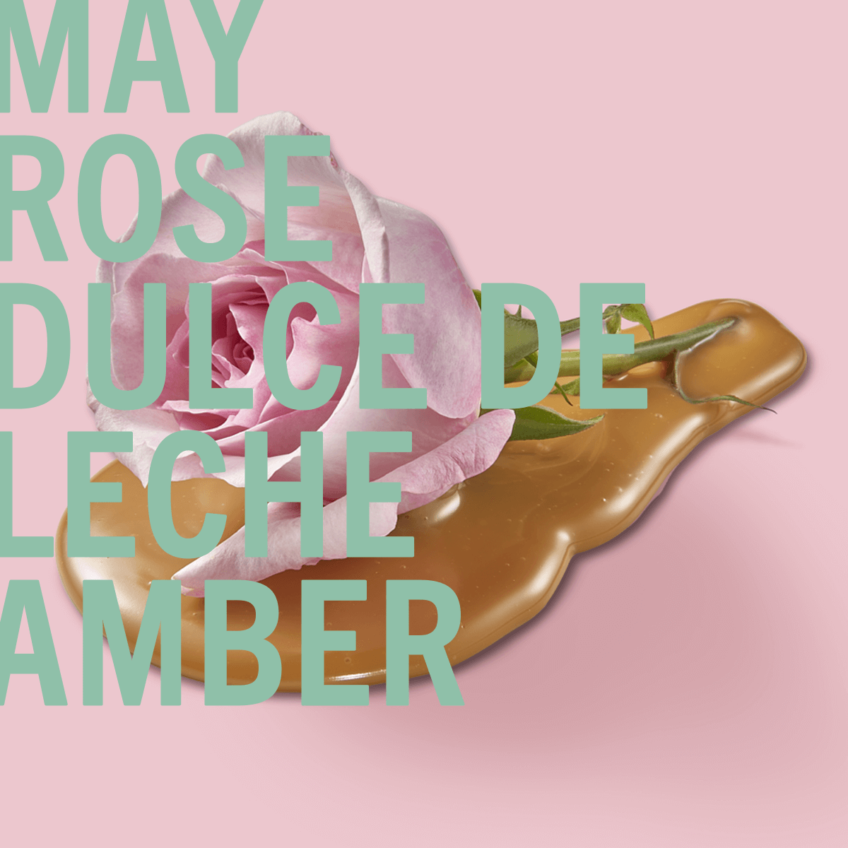 Amber Rose Fragrance 3.4oz