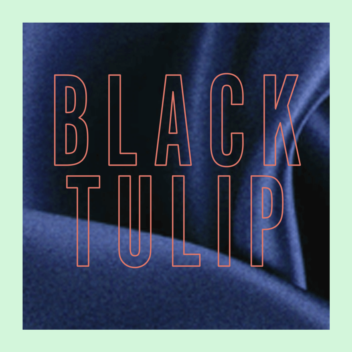 Black Tulip Fragrance 3.4oz
