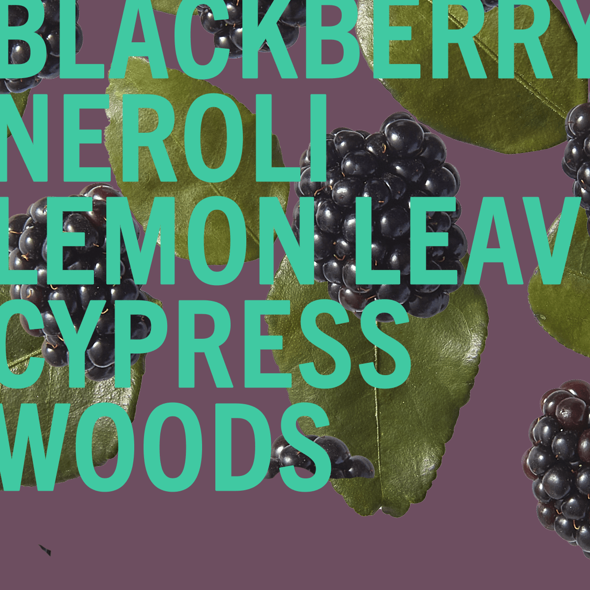 Fragancia Blackberry Woods 10ml