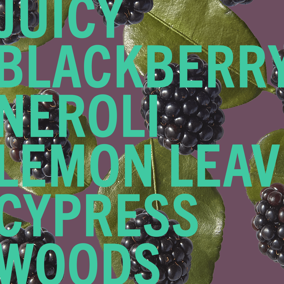 Fragancia Blackberry Woods 2ml