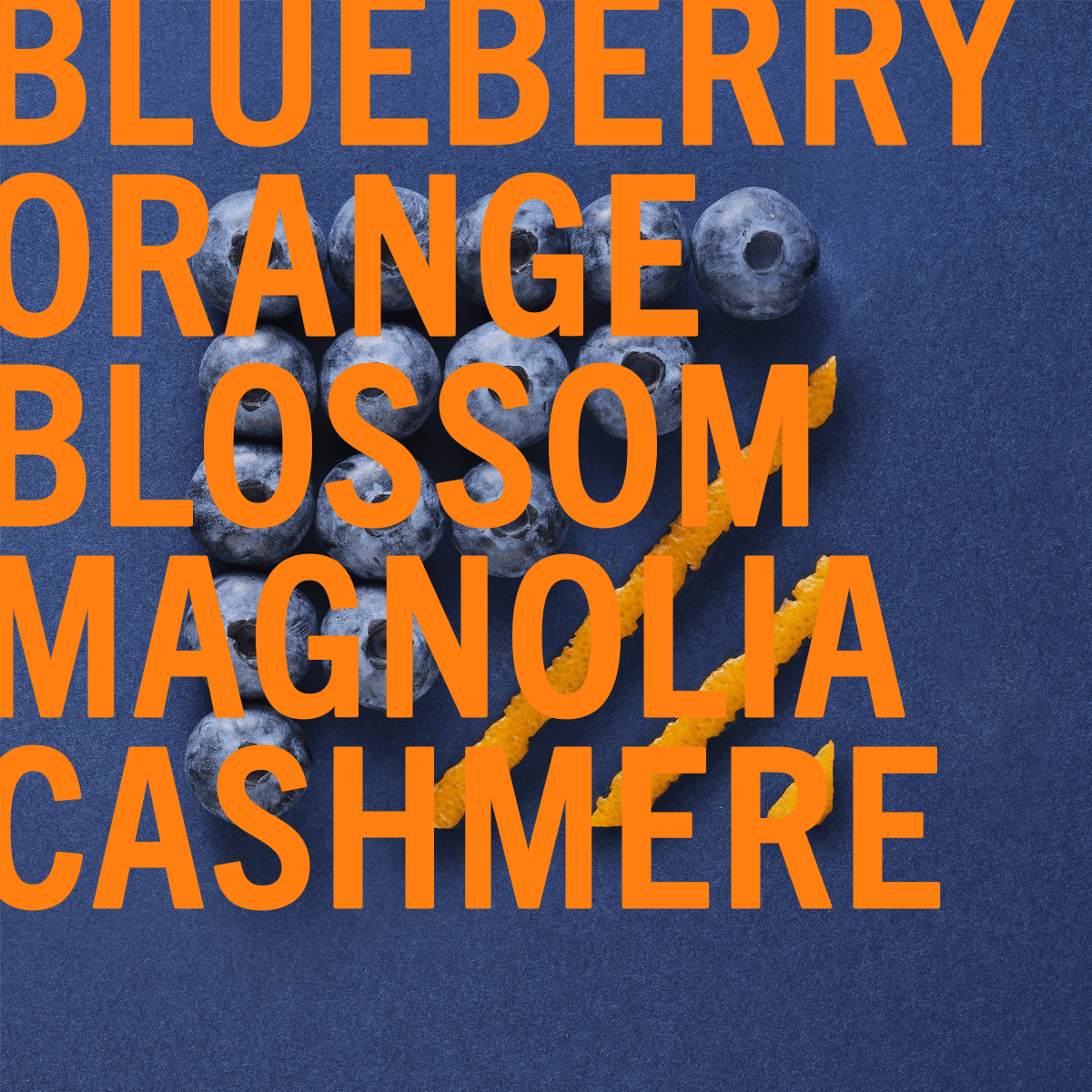 Blueberry Musk Fragrance 3.4oz