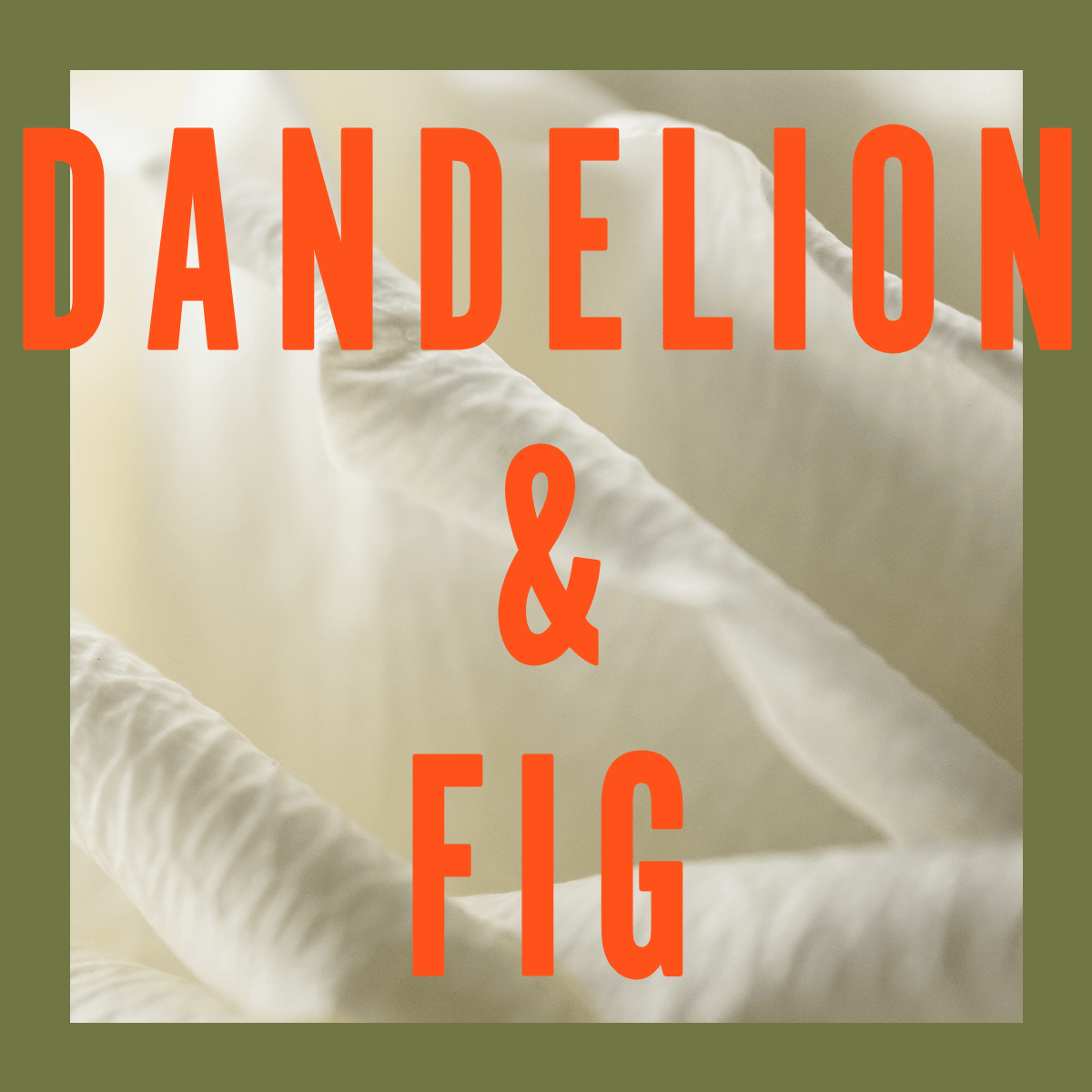 Dandelion Fig Fragrance 3.4oz