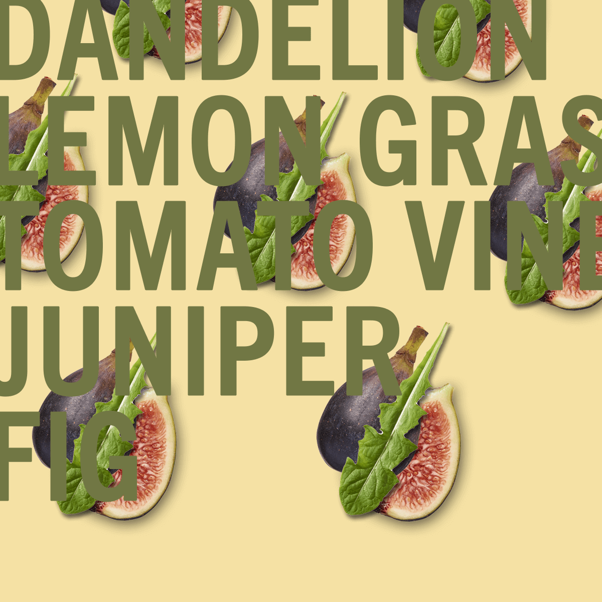 Dandelion Fig Fragrance 3.4oz