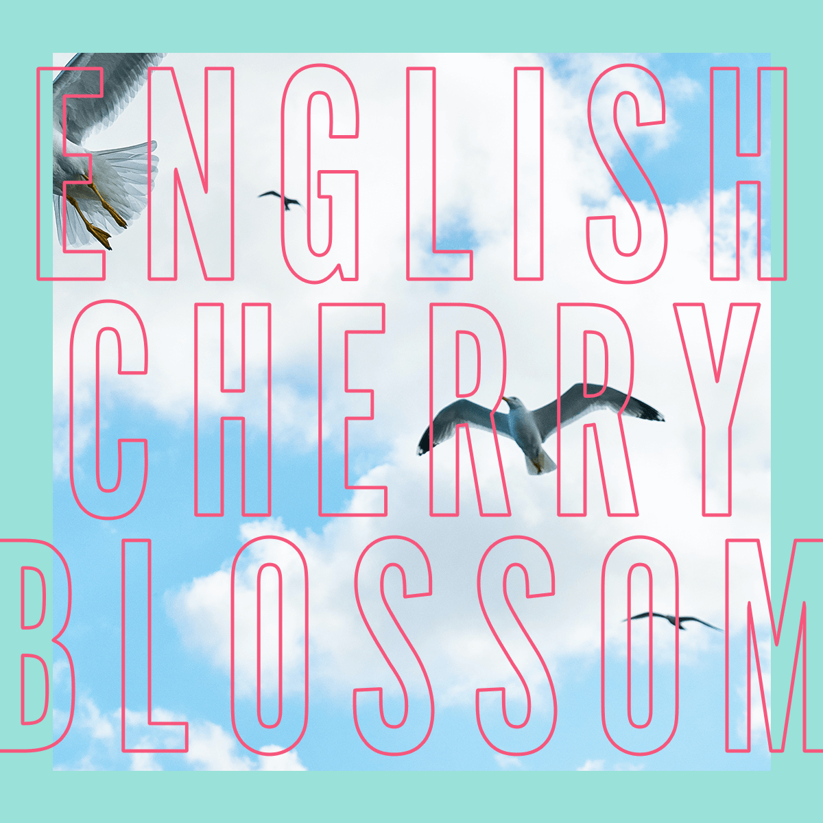 English Cherry Blossom Fragrance 3.4oz
