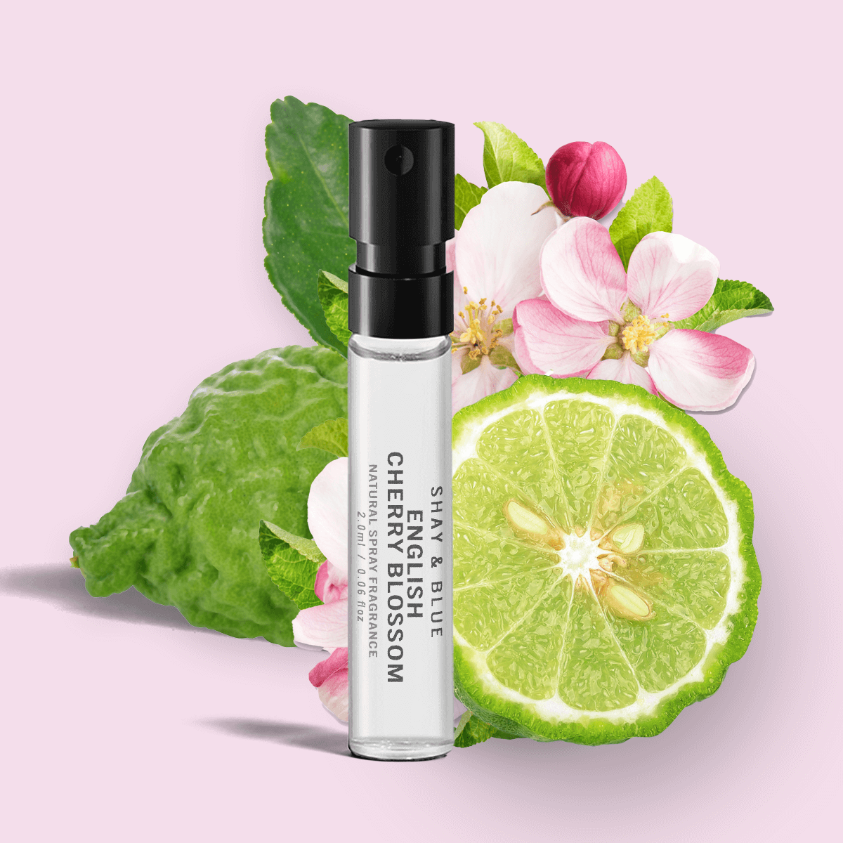 English Cherry Blossom Fragrance 2ml | Airy blossom with black cherries, fig and bergamot for a sparkling citrus lift. | Clean All Gender Fragrance | Shay & Blue