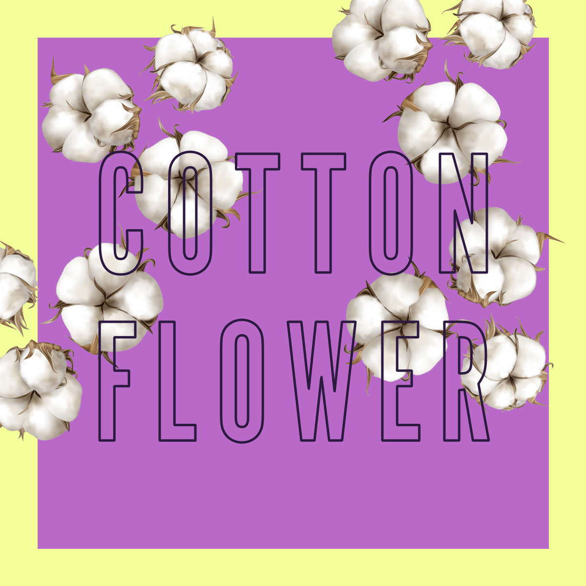 Limited Edition Cotton Flower Fragrance 3.4oz