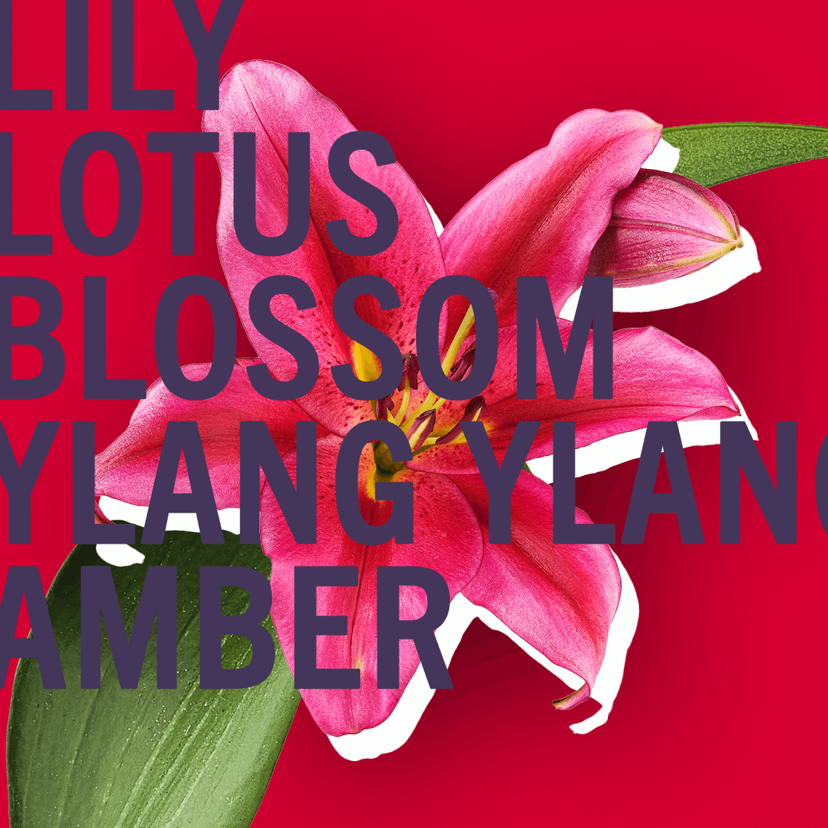 Scarlet Lily Fragrance 3.4oz