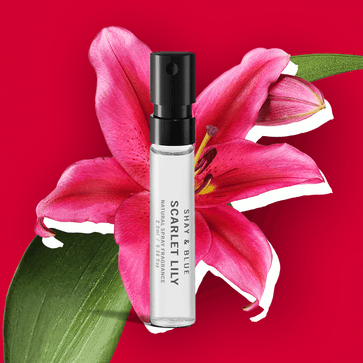 Scarlet Lily Sample  – Big scarlet lily blooms with ylang ylang in a lush, floral glow-up.