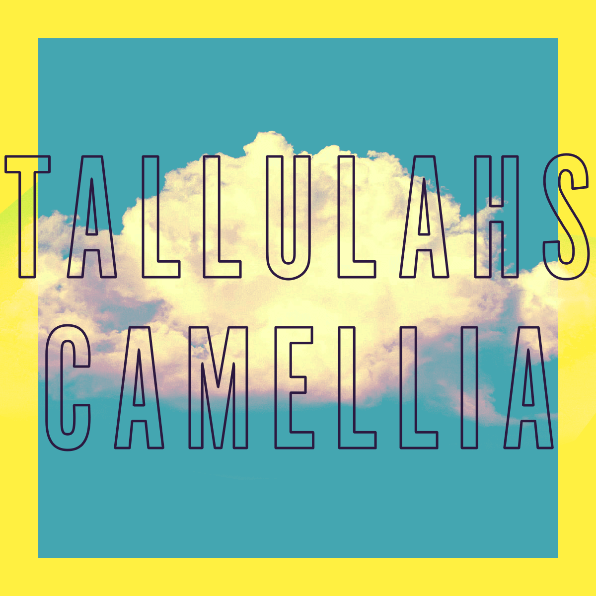 Tallulahs Camelia Fragrance 3.4oz